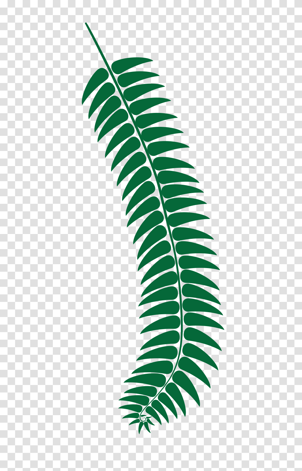 Fernbankelementary Fund The Fern, Green, Plant, Leaf, Rug Transparent Png