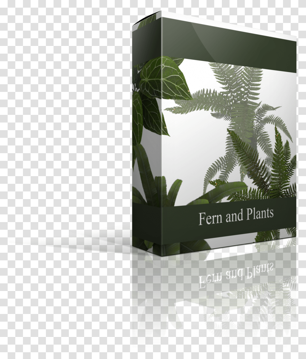 Ferns And Bushes Overlays Vertical, Vegetation, Plant, Rainforest, Land Transparent Png