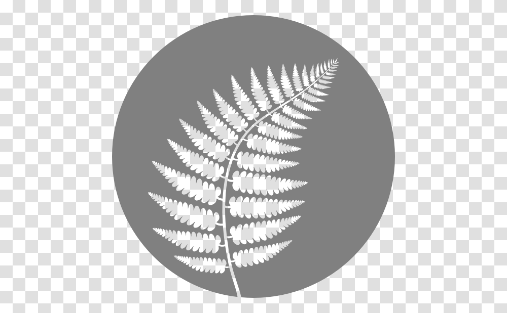 Ferns, Plant, Pattern Transparent Png