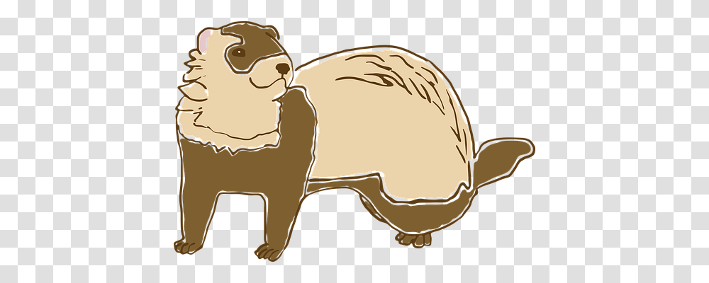 Ferret Nature, Animal, Mammal, Wildlife Transparent Png