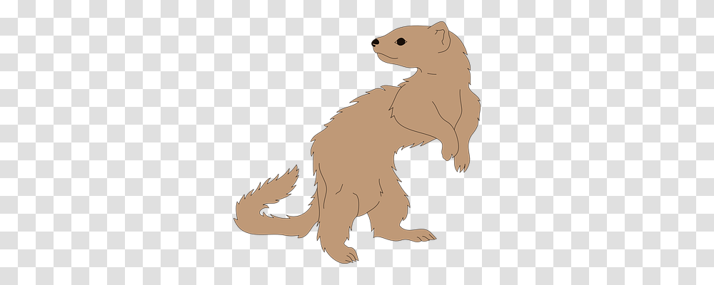 Ferret Nature, Animal, Mammal, Wildlife Transparent Png