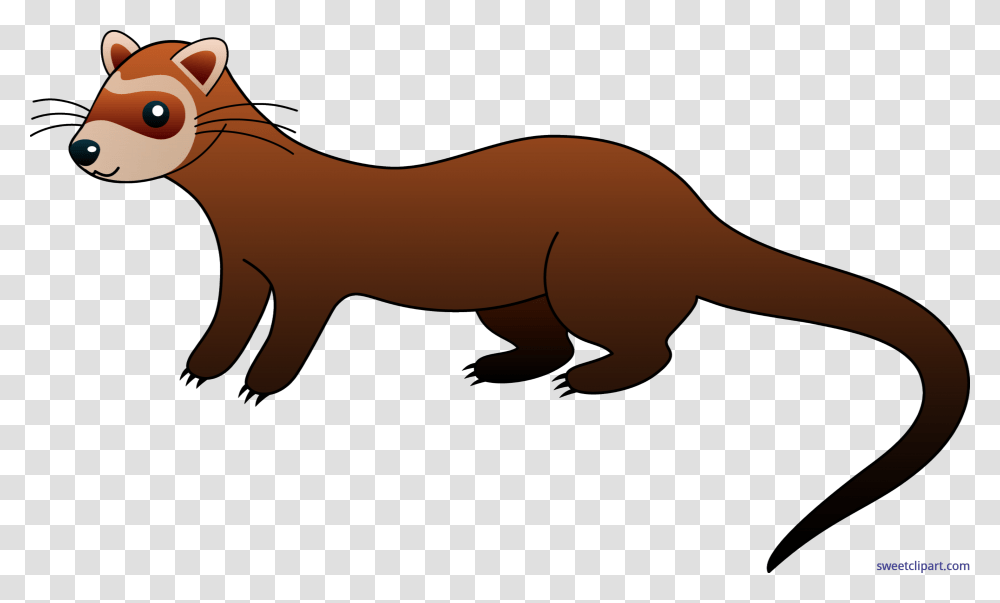 Ferret Clip Art, Animal, Mammal, Shark, Sea Life Transparent Png