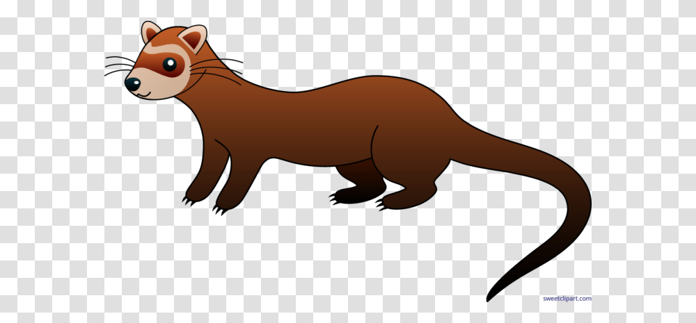 Ferret Clip Art, Animal, Mammal, Wildlife, Shark Transparent Png