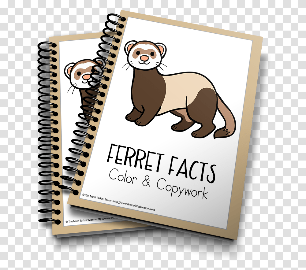 Ferrets Color And Copywork 3d Life Cycle Of Butterfly, Word, Diary, Page Transparent Png