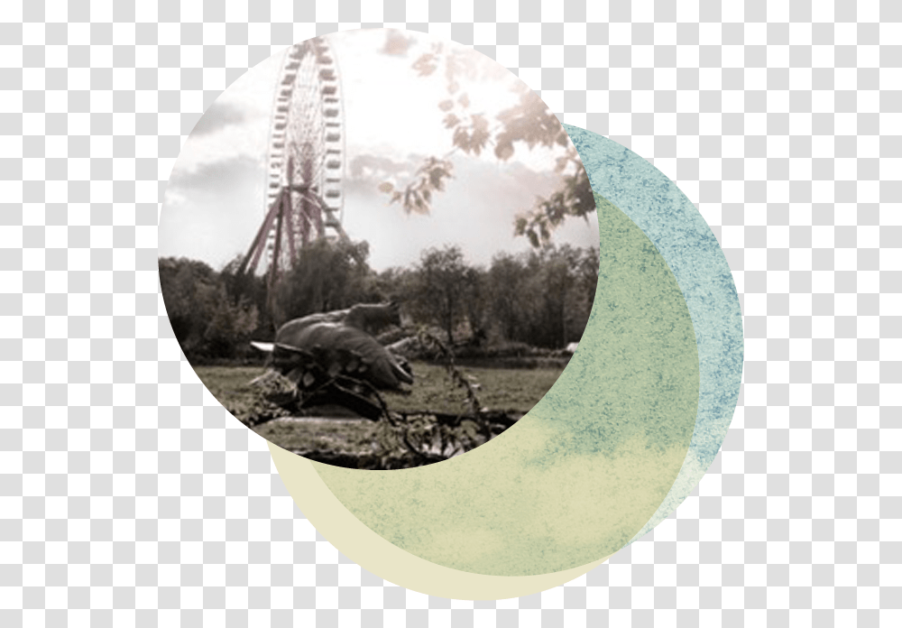 Ferris Wheel, Amusement Park, Turtle, Reptile, Sea Life Transparent Png