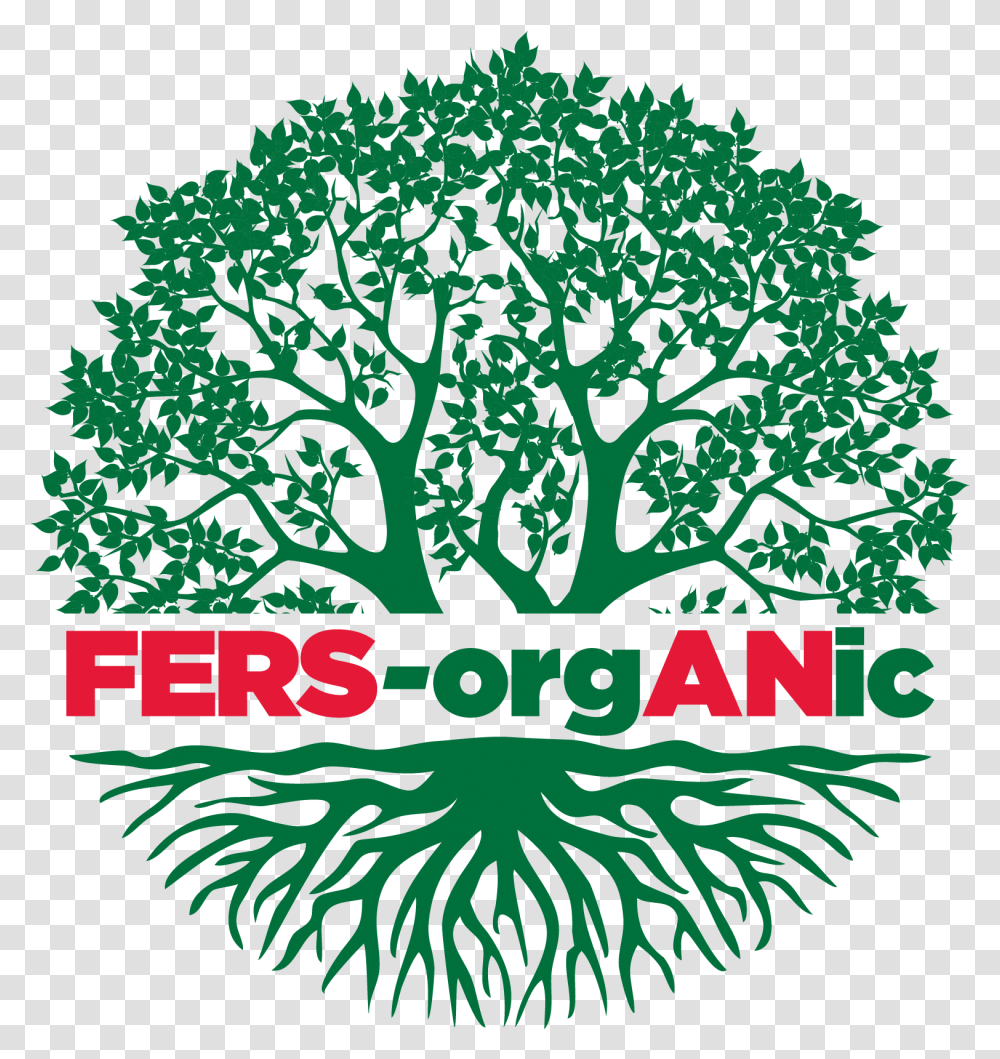 Fers Organic - Newport Fersan Jamaica Limited Tree, Graphics, Art, Plant, Pattern Transparent Png