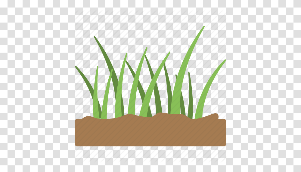 Fertile Soil Grass Grass Icon Green Grass Soil Icon, Plant, Vegetation, Flower, Flax Transparent Png