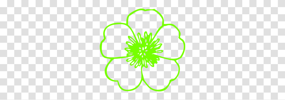 Festa Havaiana Buttercup And Clip Art, Plant, Pollen, Pattern, Flower Transparent Png