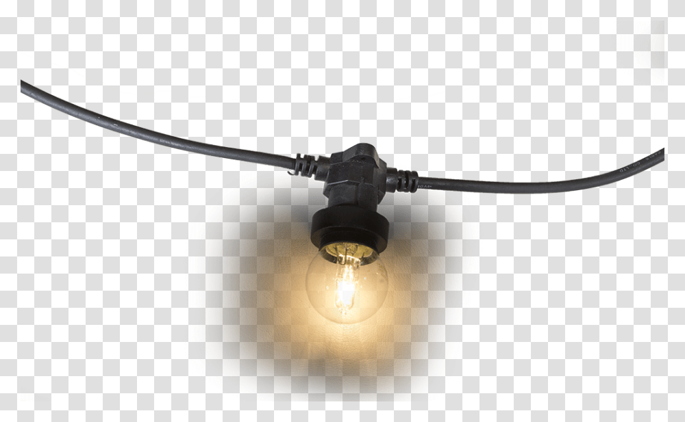 Festoon Lights Bulb With Wire, Light Fixture, Lighting, Ceiling Fan, Appliance Transparent Png