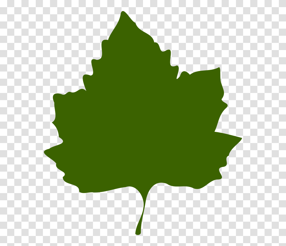Feuille Leaf, Nature, Plant, Tree, Person Transparent Png
