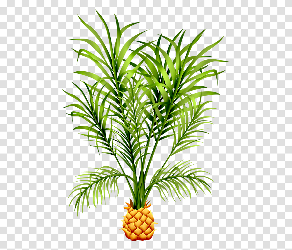 Feuilles Ananas, Green, Plant, Tree, Leaf Transparent Png