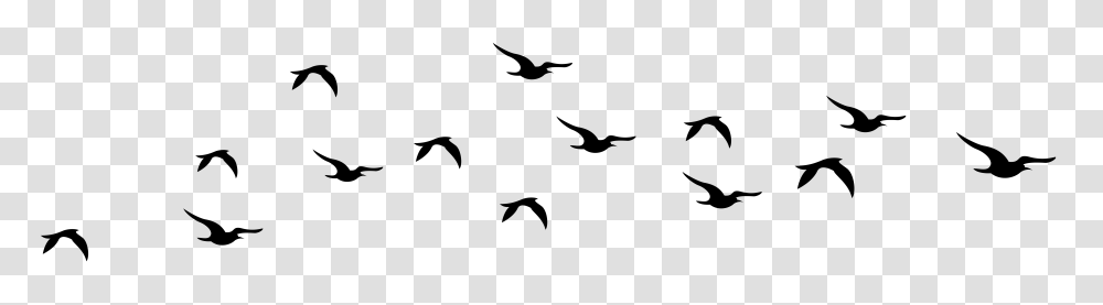 Fi Bird Silhouette Birds And Art Images, Logo, Trademark Transparent Png