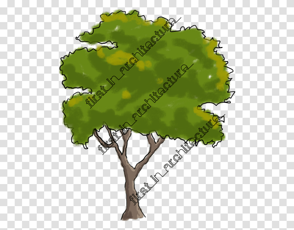 Fia Trees Elevation Tree, Plant, Poster, Vegetation, Plot Transparent Png