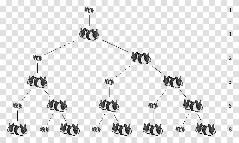 Fibonacci Puzzle Of Rabbits, Diagram, Plot, Network Transparent Png