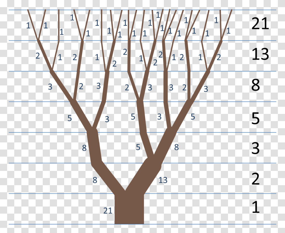 Fibonacci Tree Examples Of Fibonacci Sequence, Plant, Tree Trunk Transparent Png