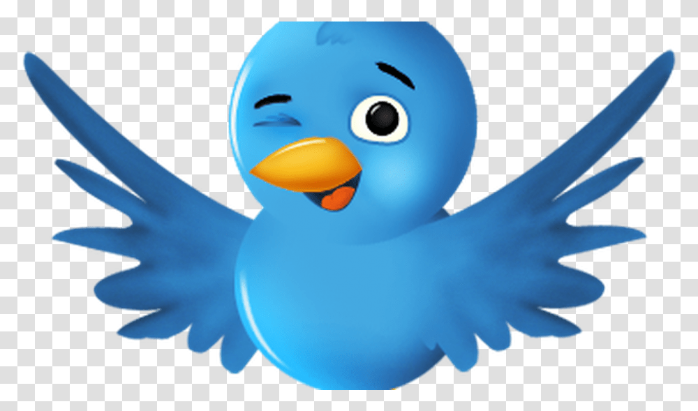 Fictional Fellas Who Need To Be Twitter Bird, Animal, Duck Transparent Png