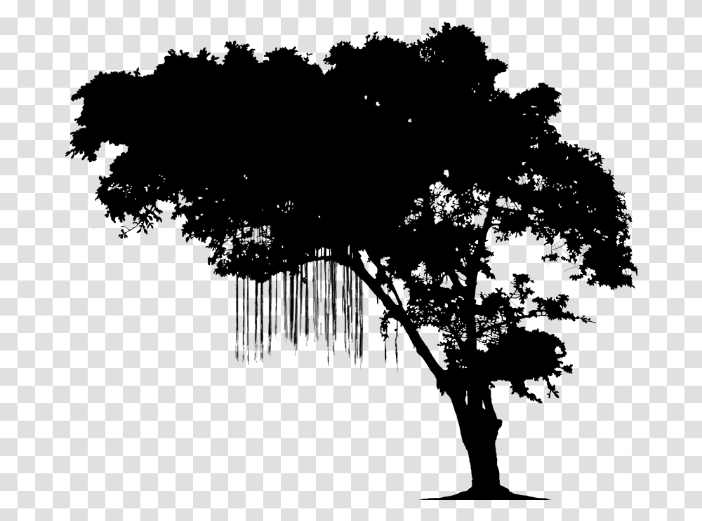 Fictionality Image Hashtag Narrative Book Silhouette Reading In Tree, Gray, World Of Warcraft Transparent Png