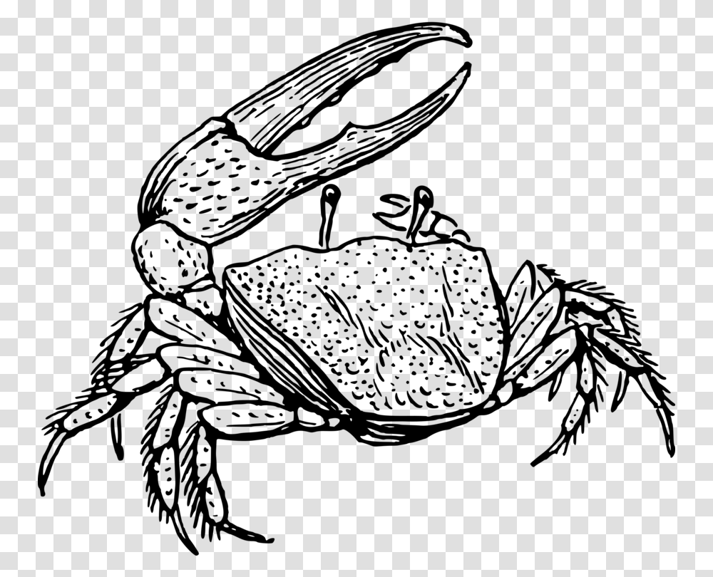 Fiddler Crab Drawing Decapoda Line Art, Gray, World Of Warcraft Transparent Png