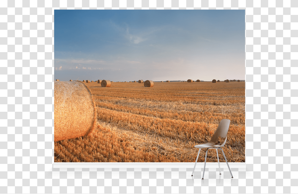 Field, Chair, Nature, Outdoors, Countryside Transparent Png