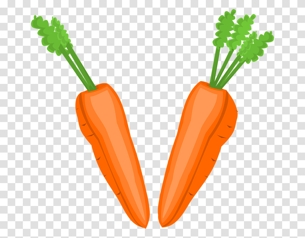Field Clipart Carrot, Plant, Vegetable, Food, Dynamite Transparent Png