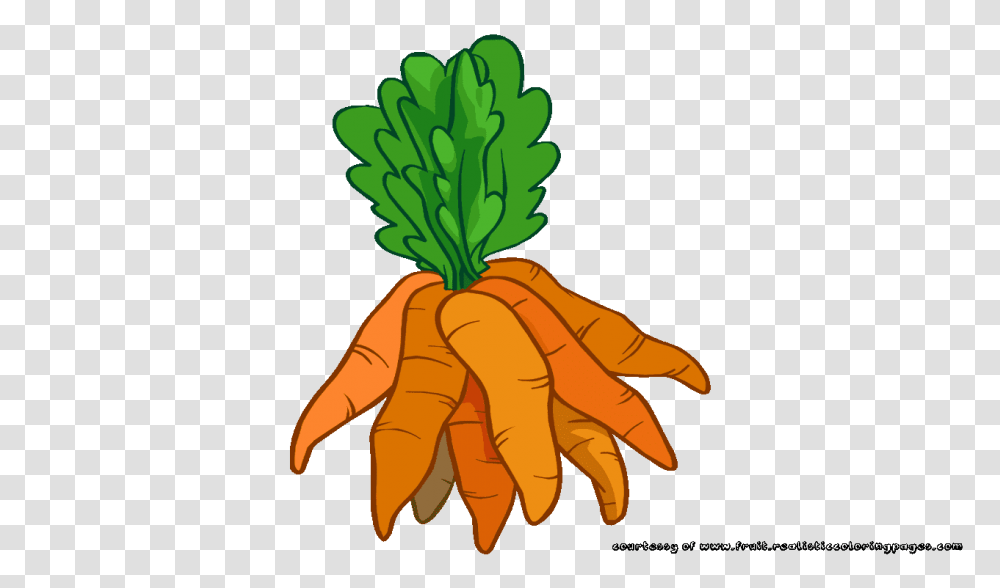 Field Clipart Carrot, Plant, Vegetable, Food, Root Transparent Png