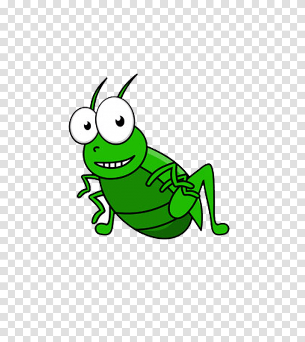 Field Clipart Green Field, Invertebrate, Animal, Grasshopper, Insect Transparent Png