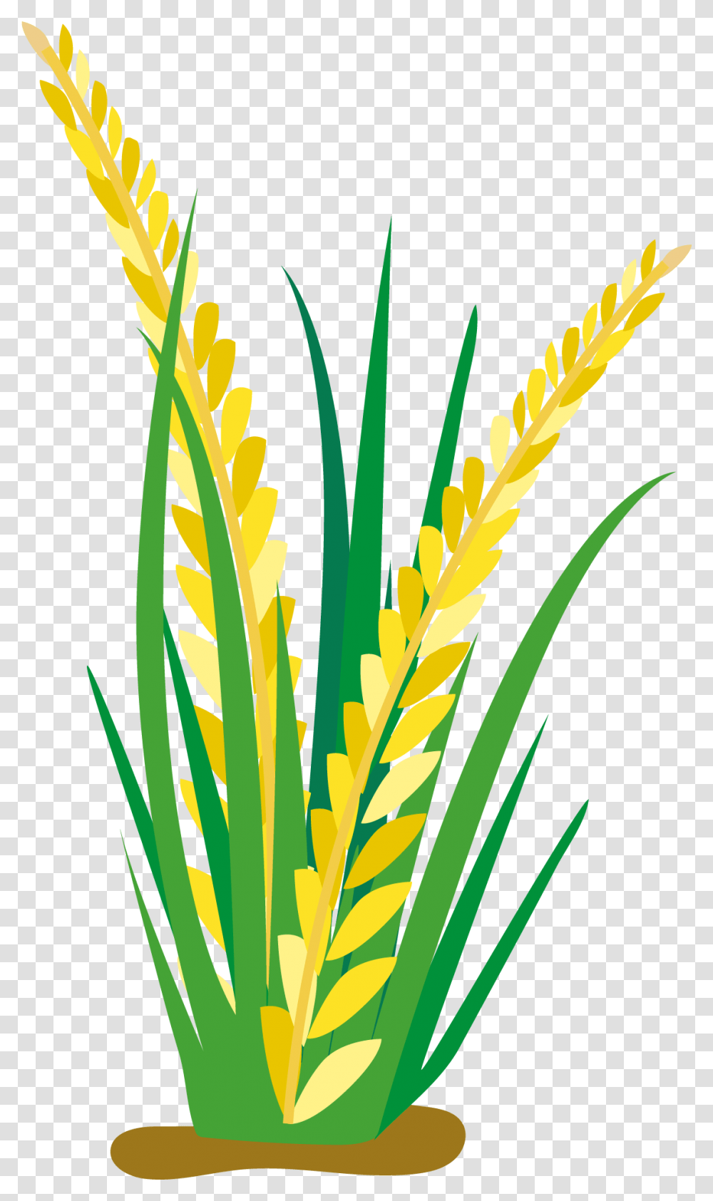 Field Clipart Rice, Plant, Grass, Vegetation, Vegetable Transparent Png