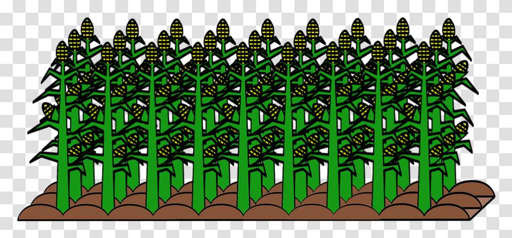 Field Cultivated Cultivation Food Plant Harvest Obrazy Dla Roslin Uprawnych, Gate, Fence Transparent Png