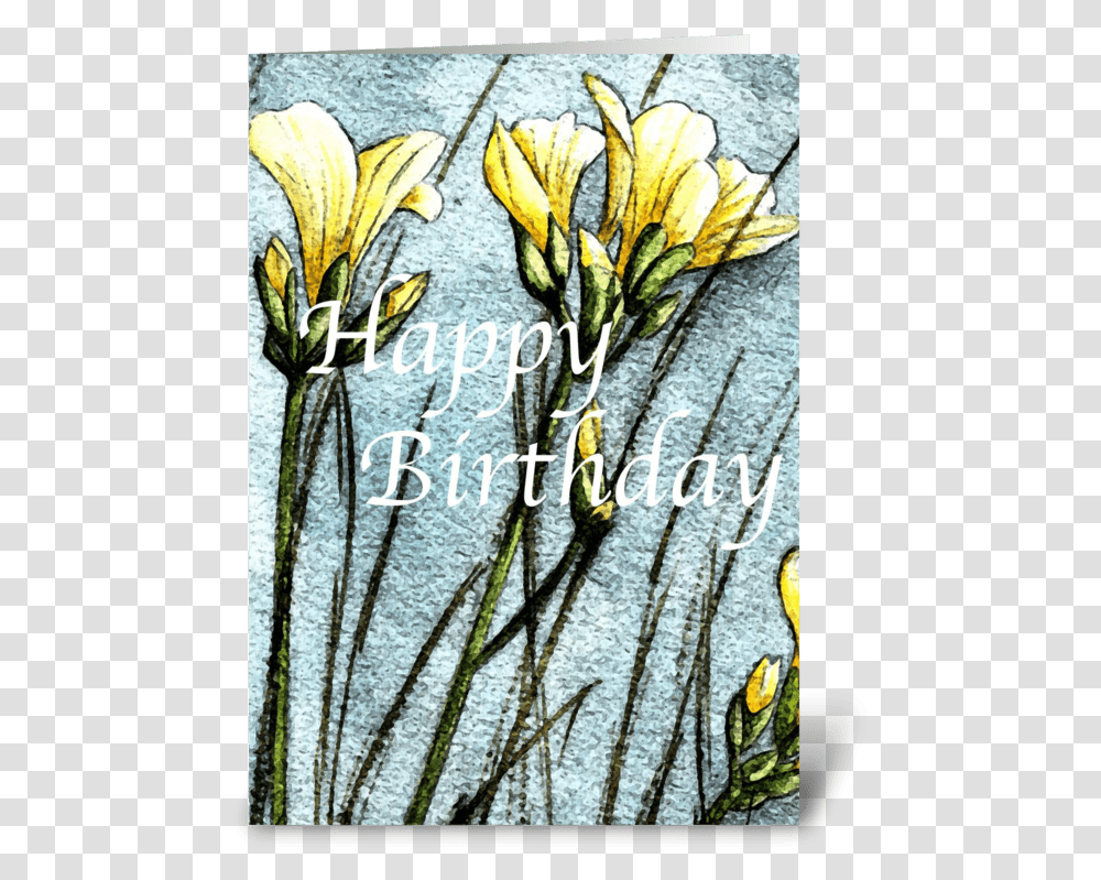 Field Flowers Greeting Card Snow Crocus, Floral Design, Pattern Transparent Png