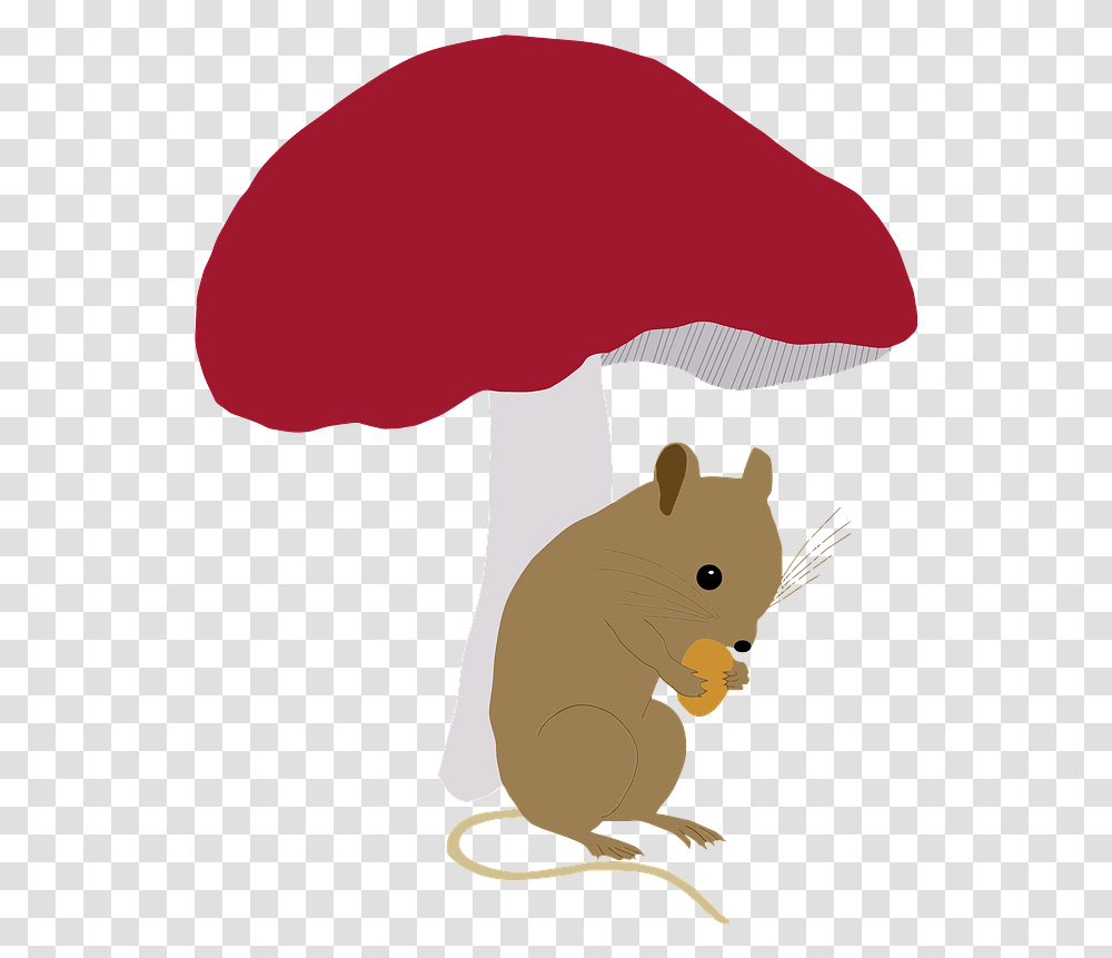 Field Mouse Under Toadstool Clipart Rat, Plant, Mammal, Animal, Agaric Transparent Png
