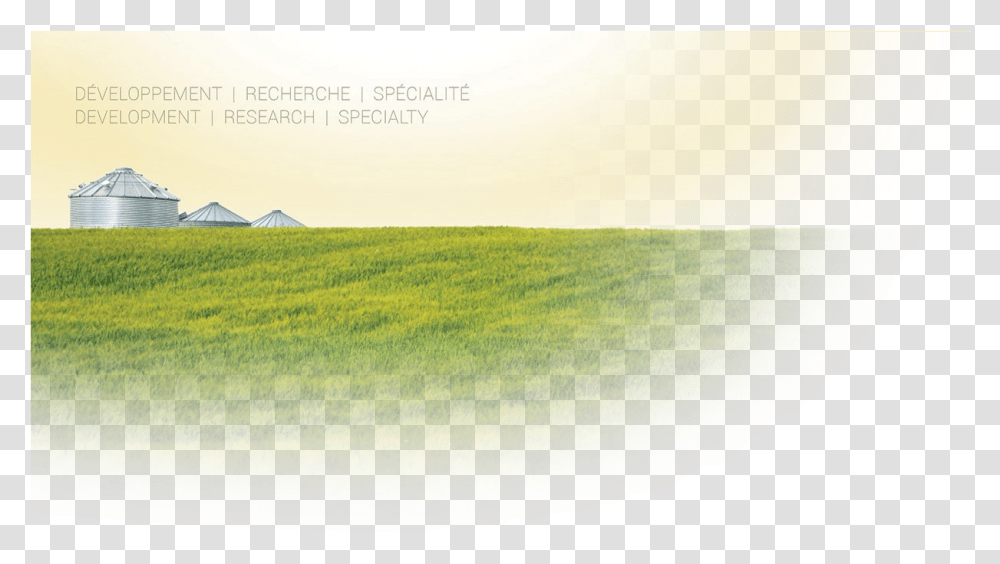 Field, Nature, Outdoors, Grassland, Countryside Transparent Png