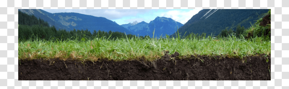 Field, Soil, Slope, Nature, Land Transparent Png