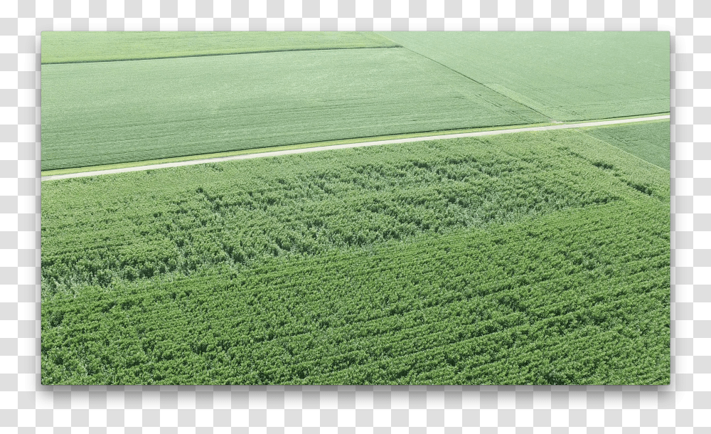 Field Transparent Png