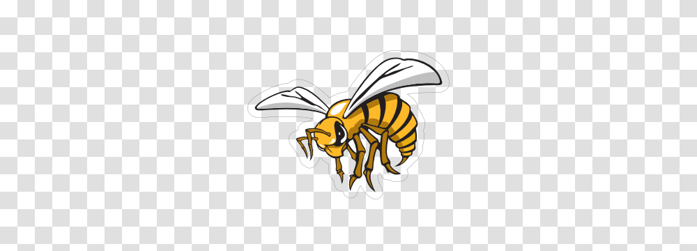 Fierce Hornet Mascot Sticker, Wasp, Bee, Insect, Invertebrate Transparent Png