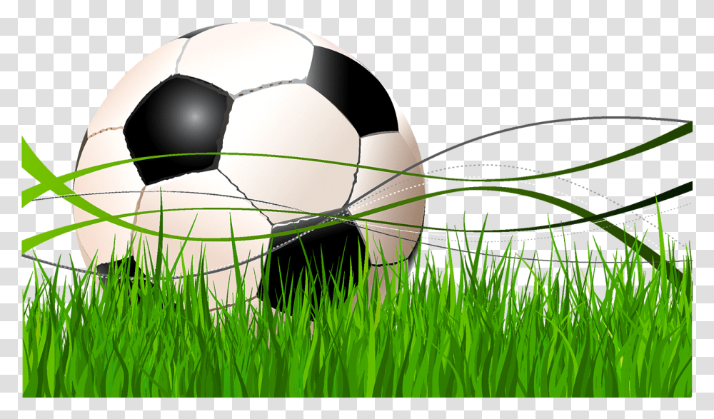 Fifa World Cup Football Pitch Formation Defender Football, Soccer Ball, Team Sport, Sports, Grass Transparent Png