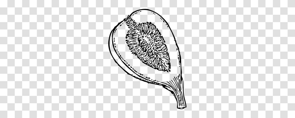 Fig Food, Gray, World Of Warcraft Transparent Png