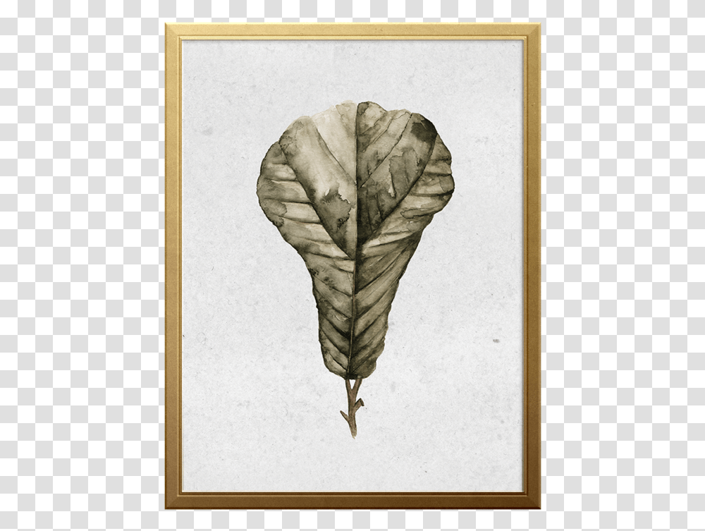 Fig Branch Art Print Sketch, Drawing, Person, Plant, Vegetable Transparent Png