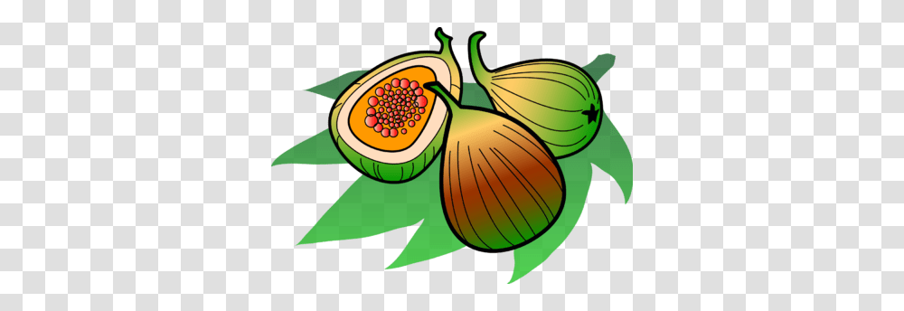 Fig Clipart Sliced, Plant, Fruit, Food, Produce Transparent Png