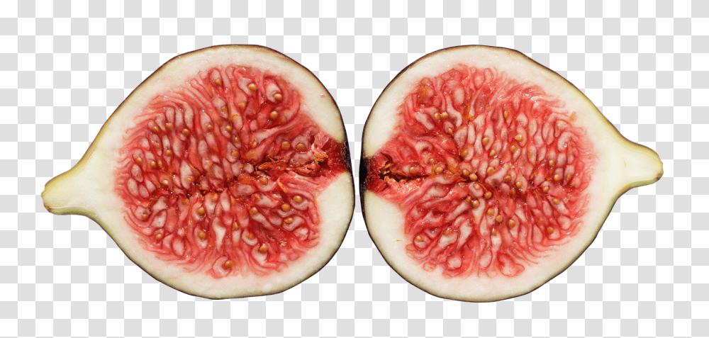 Fig, Fruit, Plant, Food Transparent Png