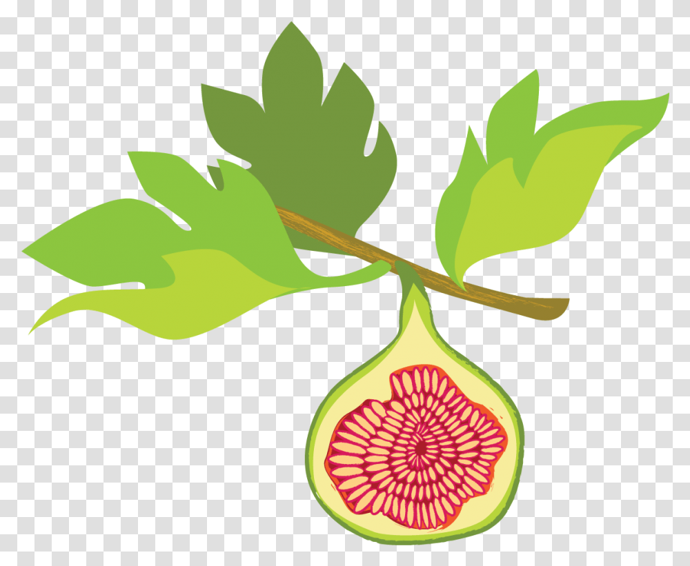 Fig Illustration Fig Tree Clipart, Plant, Leaf, Vase, Jar Transparent Png