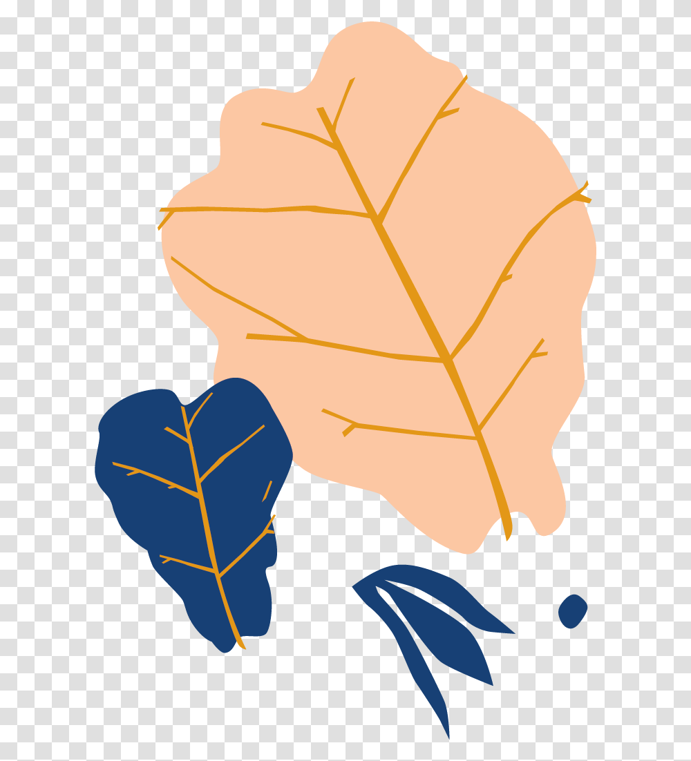 Fig Leaf Fig Illustration, Plant, Maple Leaf, Vegetable, Food Transparent Png