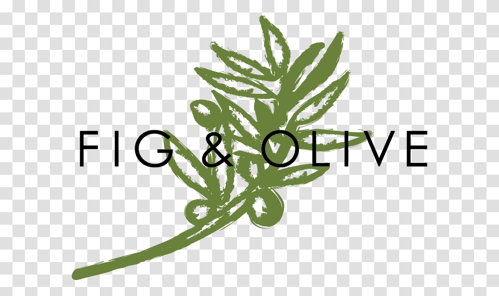 Fig Leaf, Floral Design, Pattern Transparent Png