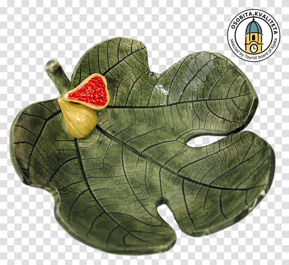 Fig Leaf, Plant, Veins, Green, Flower Transparent Png