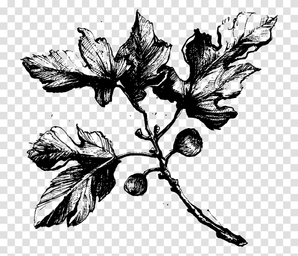 Fig Tree Black And White Download, Gray, World Of Warcraft Transparent Png