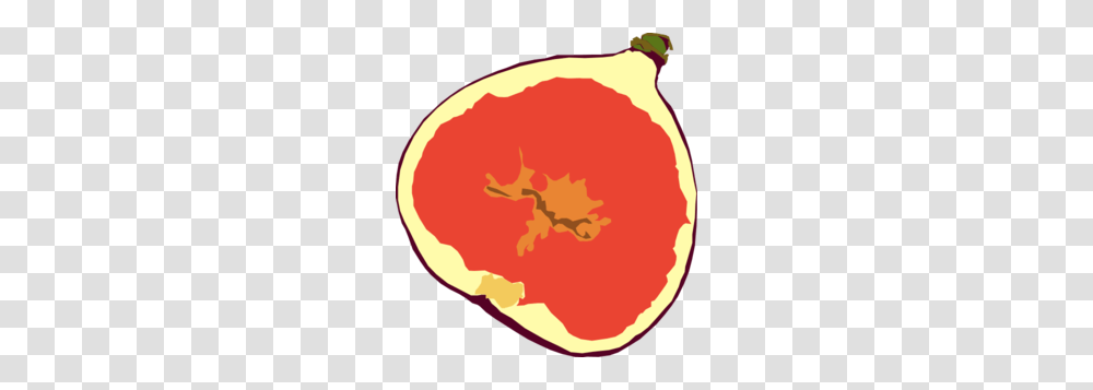 Fig Tree Clip Art Fig Clip Art, Plant, Fruit, Food, Grapefruit Transparent Png