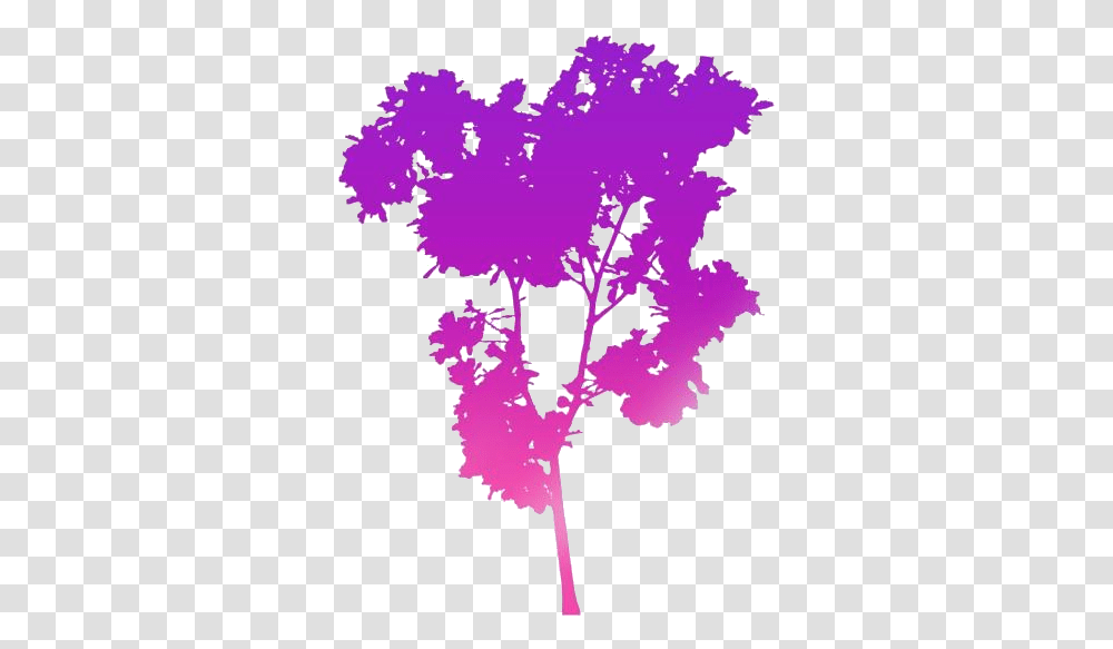 Fig Tree Leaves Clipart Free Download, Plant, Flower, Blossom, Purple Transparent Png