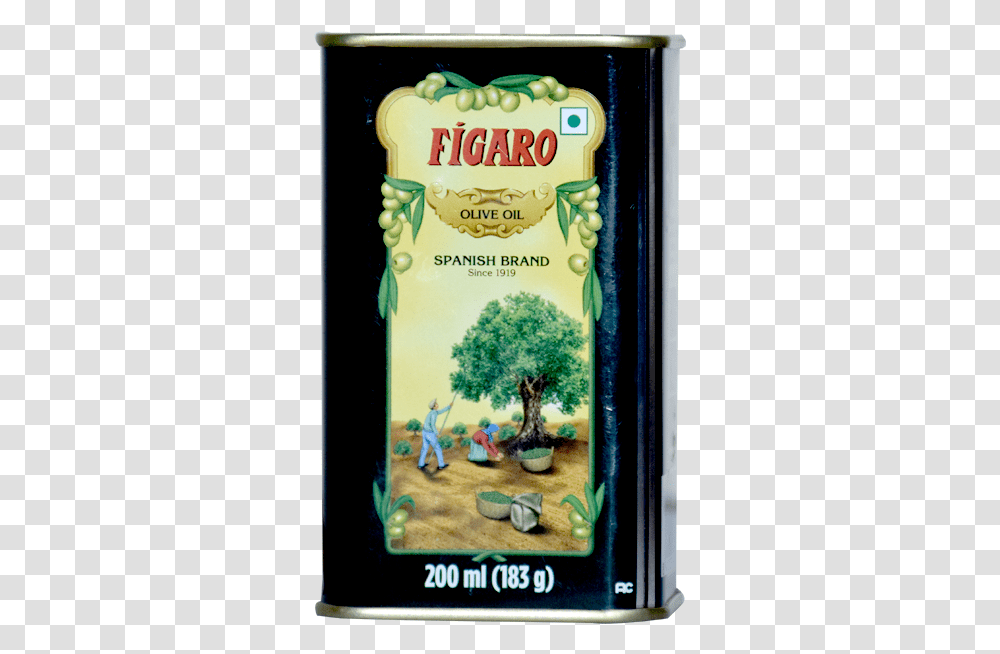 Figaro Olive Oil, Person, Plant, Jar, Vase Transparent Png