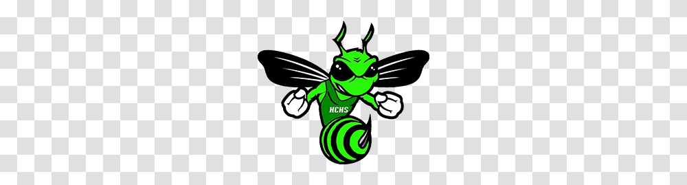 Fight Hornet Haines City High School, Insect, Invertebrate, Animal, Photography Transparent Png