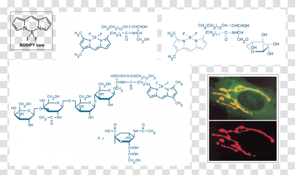 Figure 1 Illustration, Plot, Diagram, Number Transparent Png