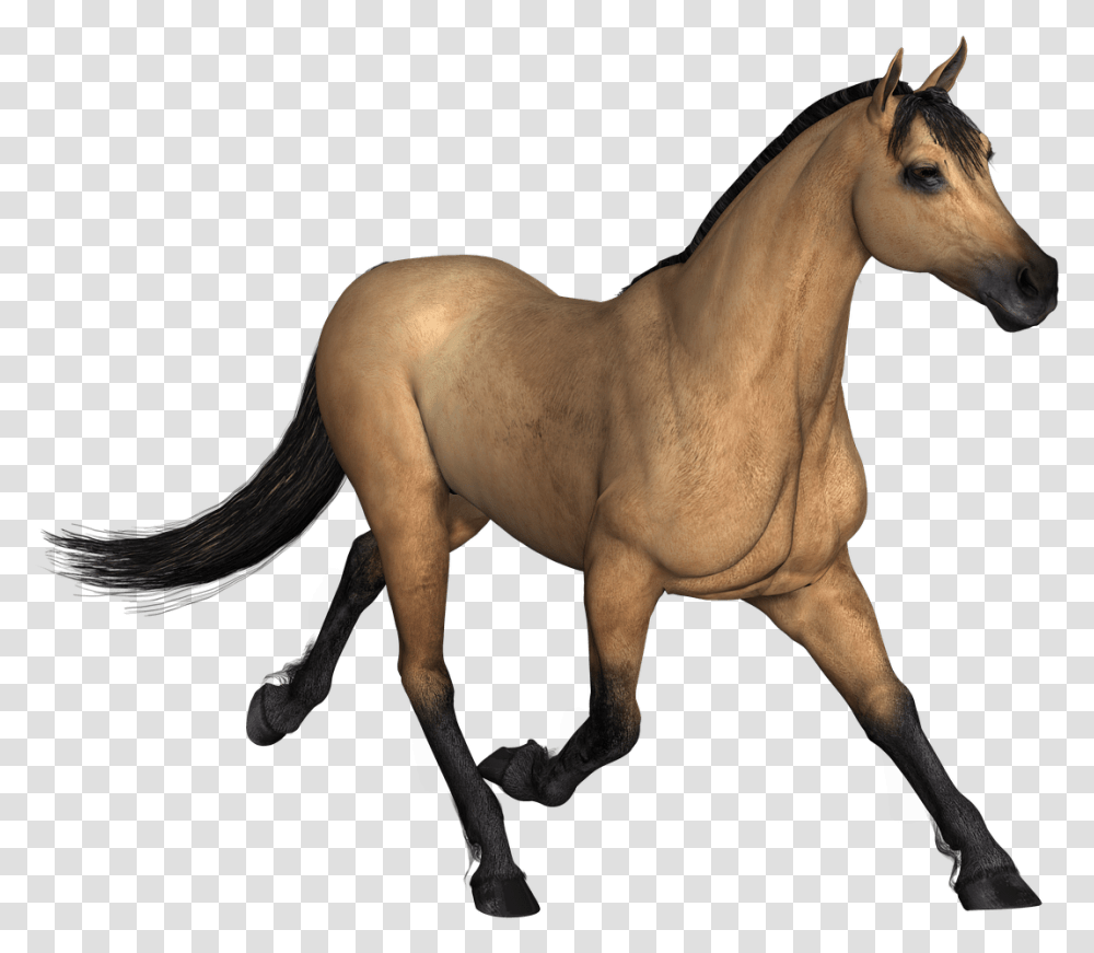 Figuremanemustang S Characterfoaltailpony Horse Render, Mammal, Animal, Colt Horse, Stallion Transparent Png